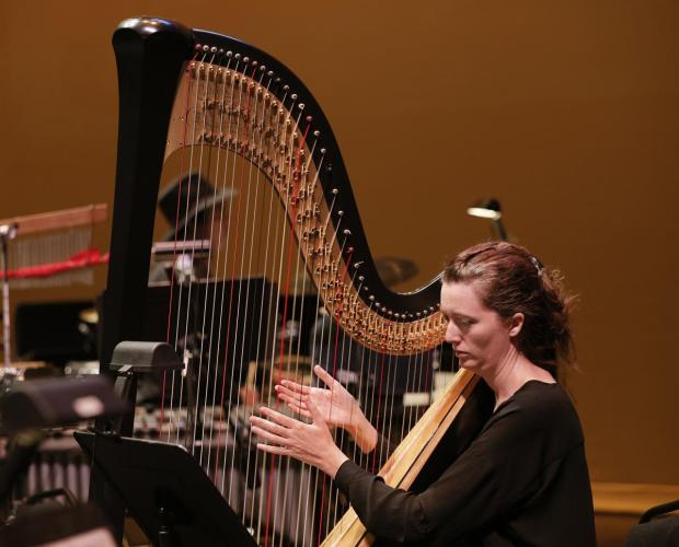 “Our harpist, the wonderful Catherine Case, was a joy to listen to”