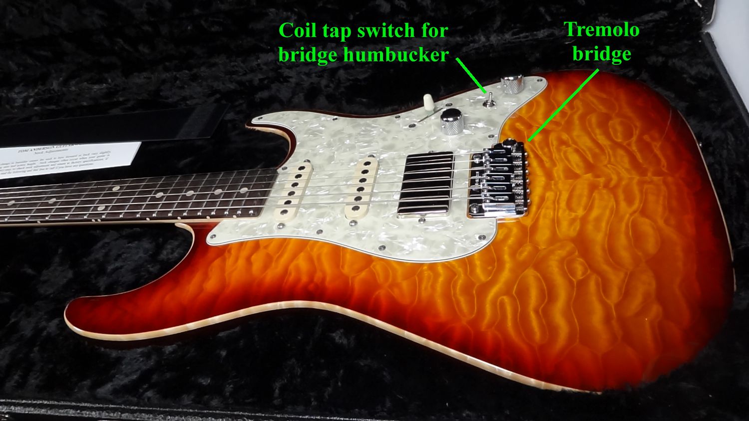 Tom Anderson Drop Top Classic Body Close Up