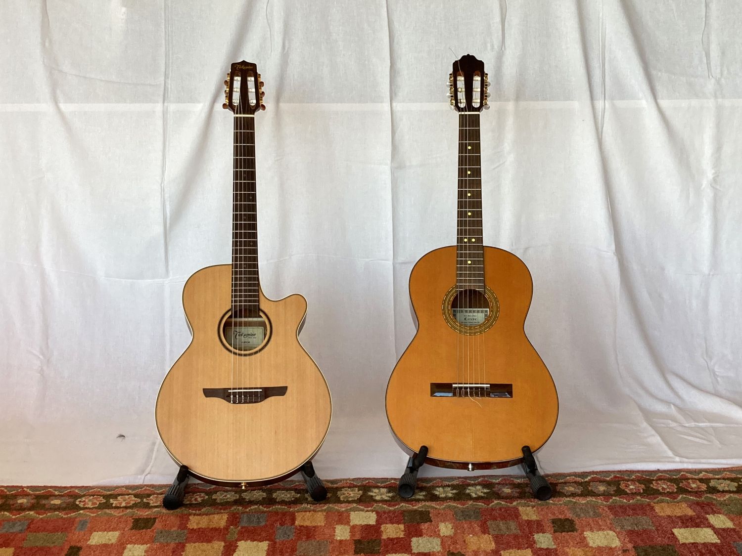 Nylon-String and Classical Guitars, Both With Pickups Installed